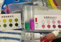 警惕！螃蟹突然不吃料，趴邊上草甚至蛻殼不遂？請留意氨氮、亞硝酸鹽含量！