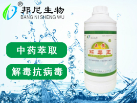 五黃解毒王
