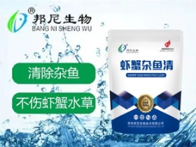 蝦蟹雜魚清